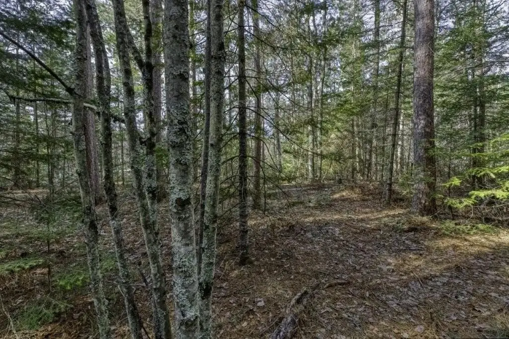 Picture 14