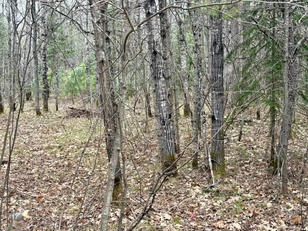 Picture 8
