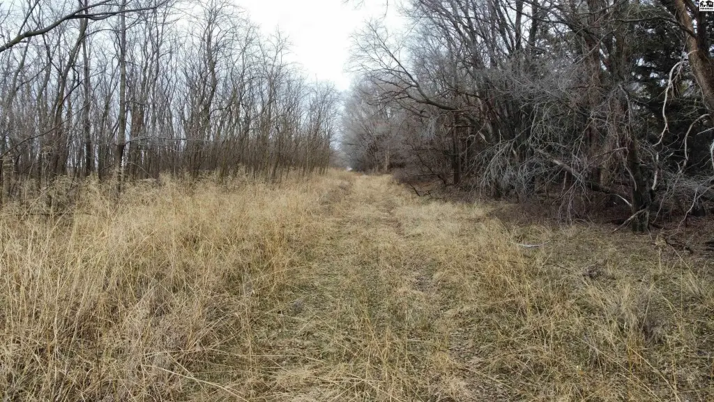 Picture 29