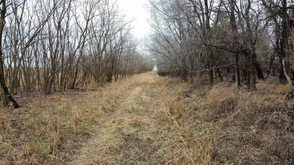 Picture 30
