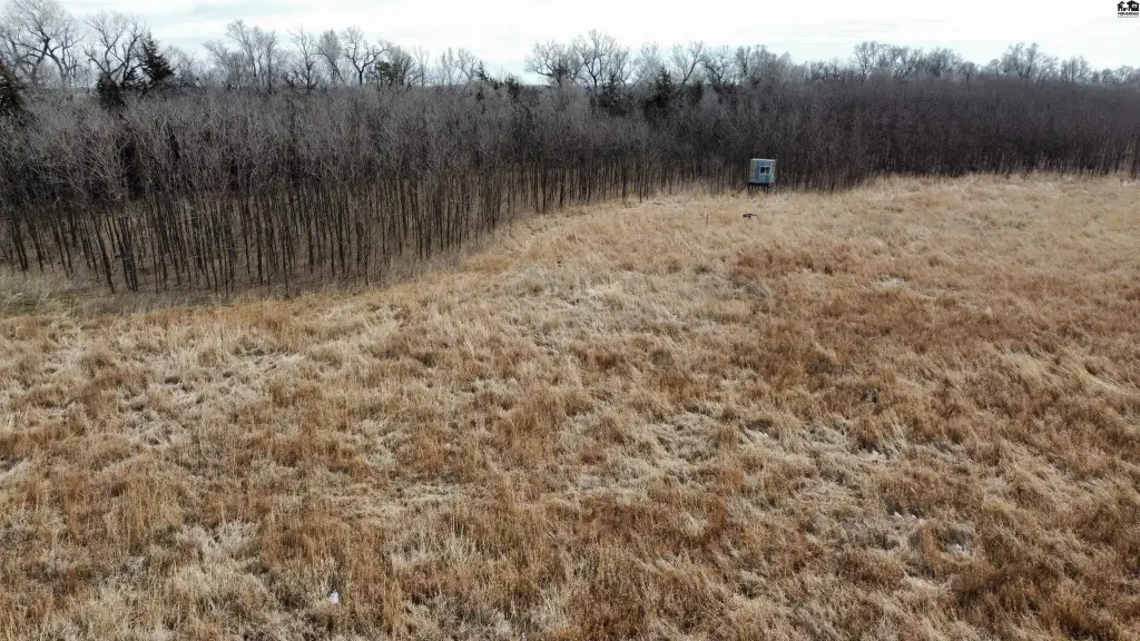 Picture 16