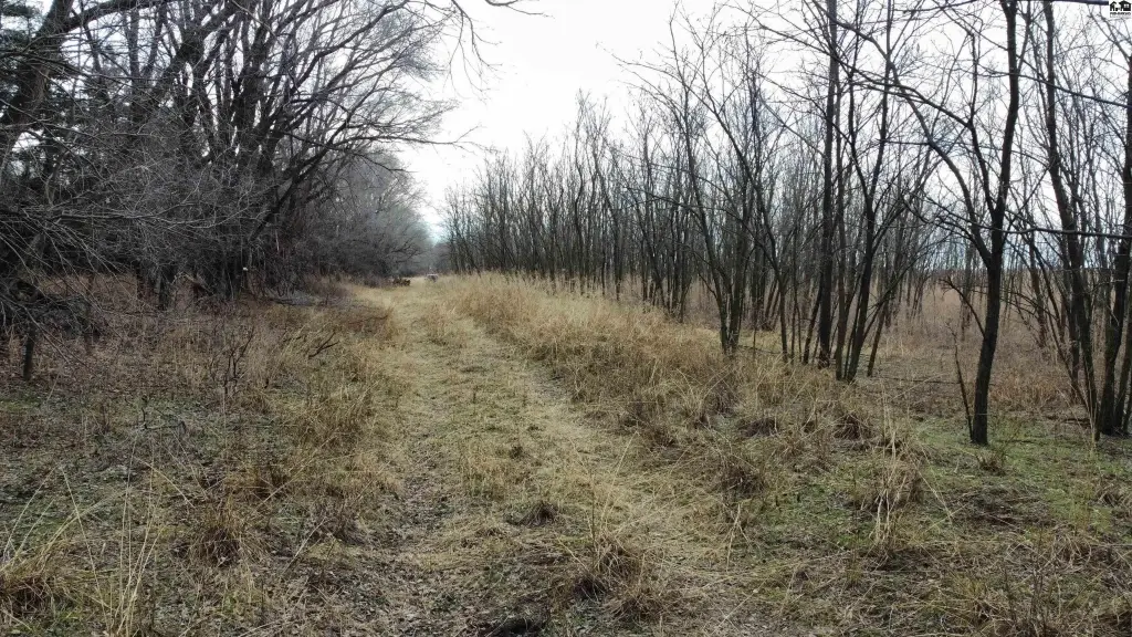 Picture 31