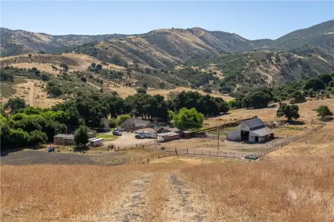 Expansive Greenfield Cattle Ranch