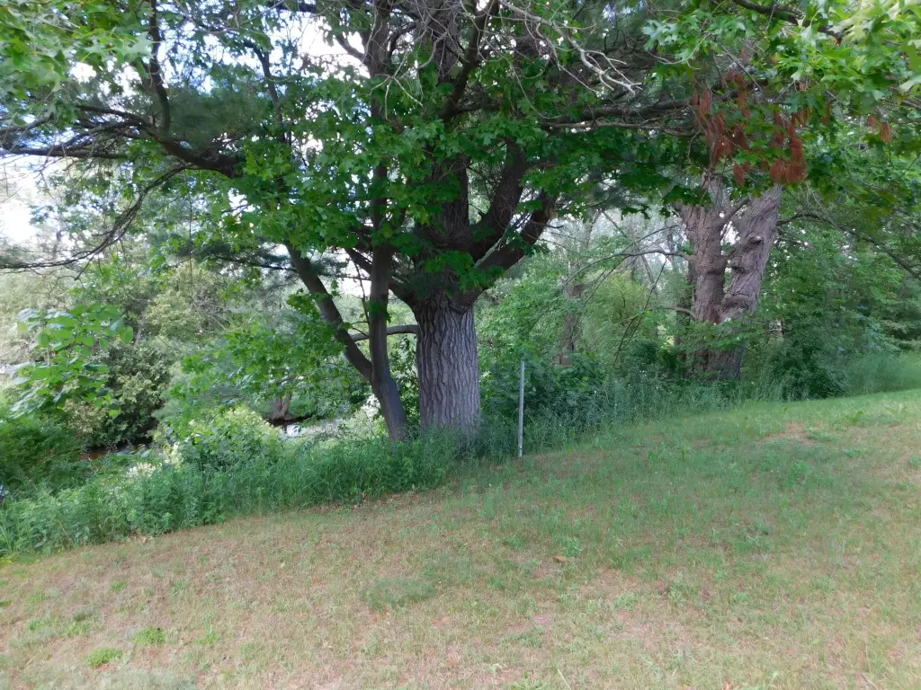 Picture 11