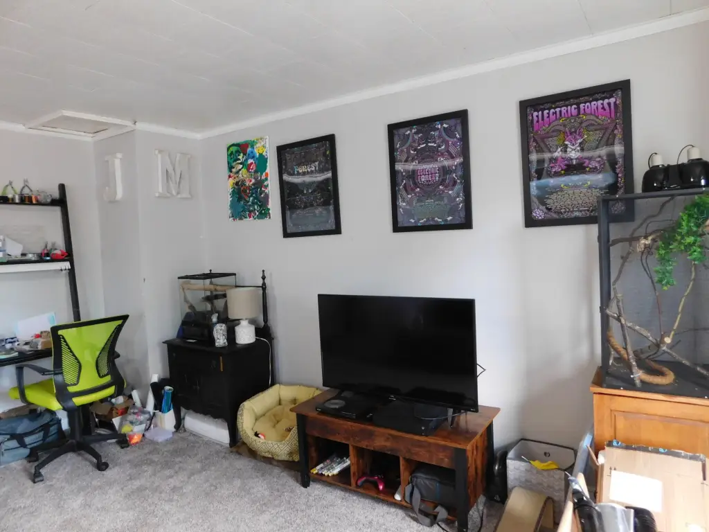 Picture 13