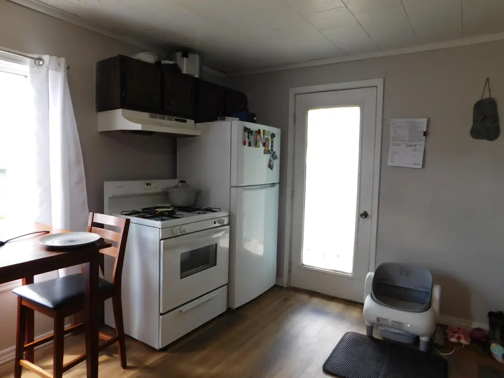 Picture 15