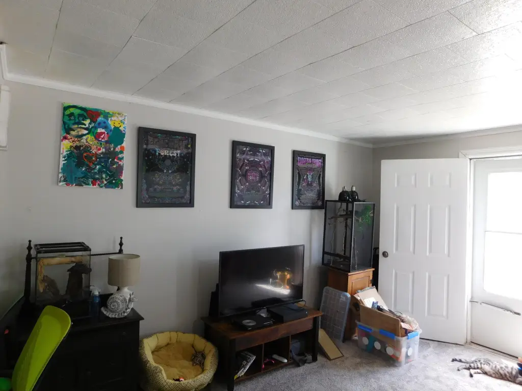 Picture 18