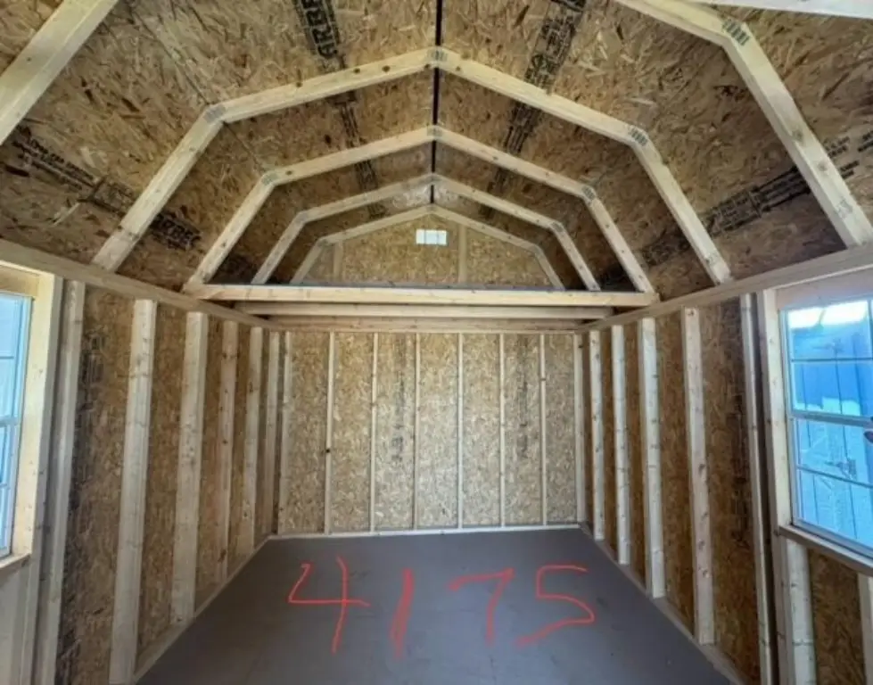 Picture 12