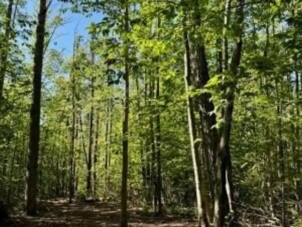 Picture 9