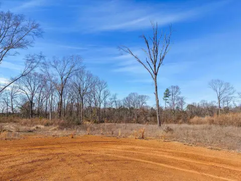 6+ Acre East Texas Land