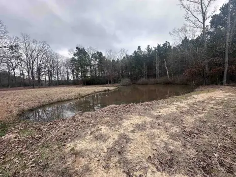 Secluded Acreage Near Toledo Bend