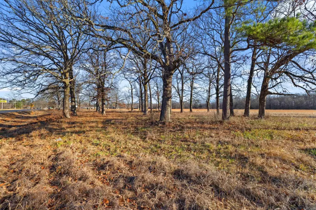 Picture 7