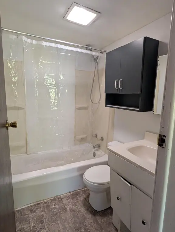 Picture 6