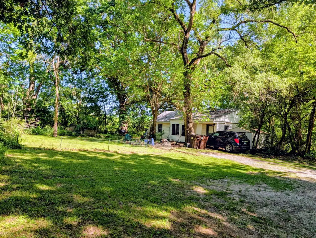 Picture 19