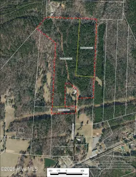 Wooded Undeveloped Land