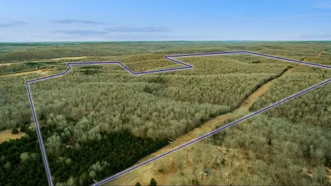 Ozark Foothills Hunting Land