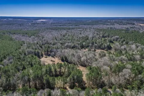 Arkansas Land for Hunting/Recreation