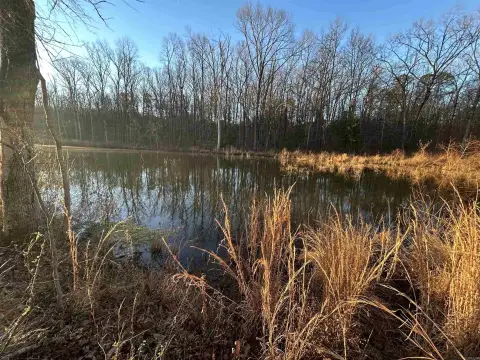 Mena, AR Acreage with Lake