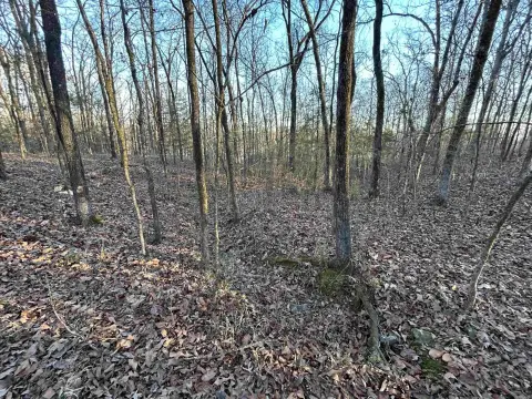 Mena, AR Acreage with Lake