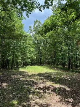 Secluded Land in Carroll County