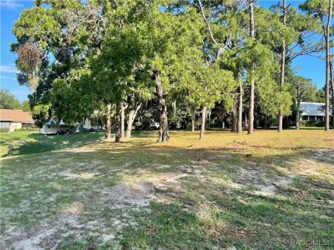 Residential Land in Crystal River