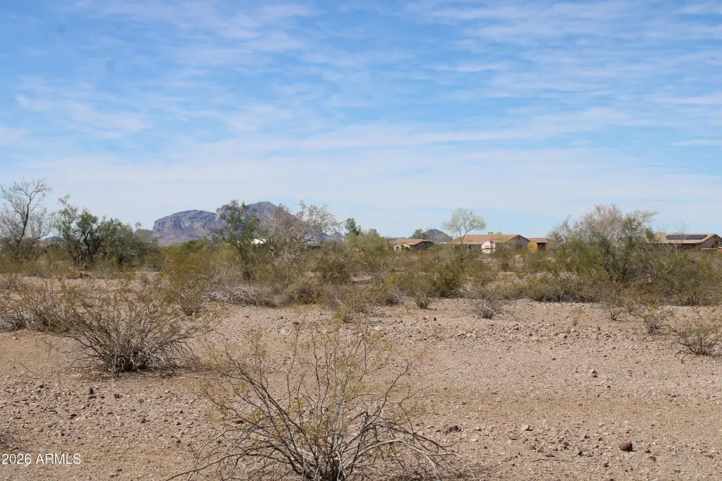 Picture 29