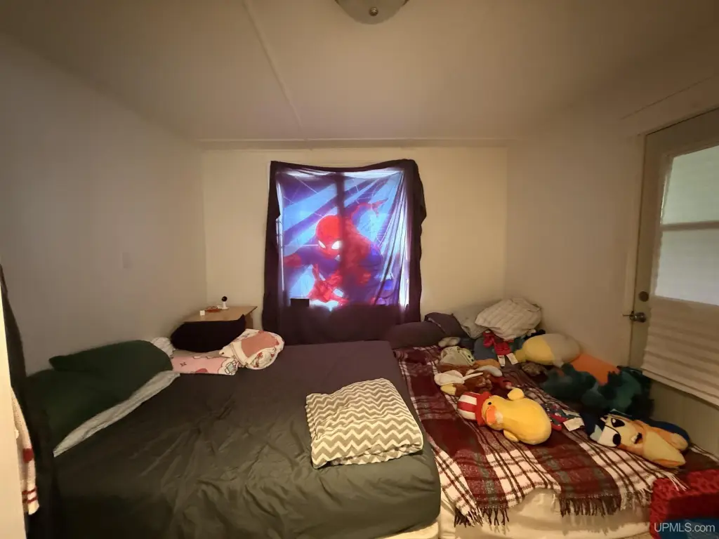 Picture 19