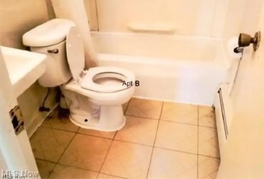 Picture 16
