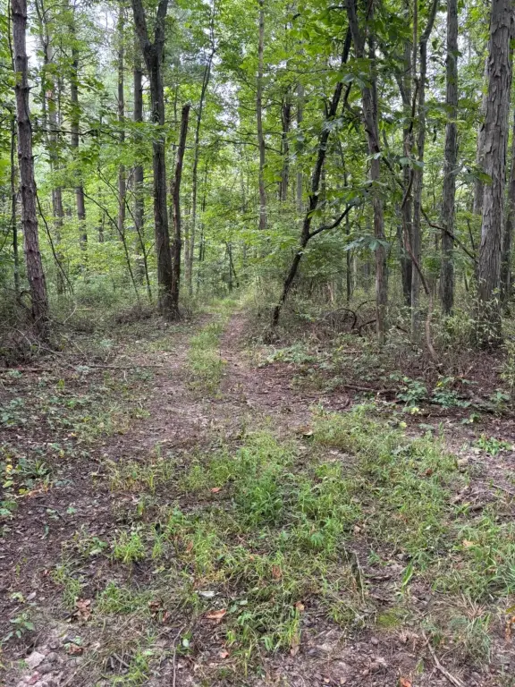 Picture 8