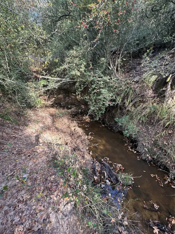 Picture 24