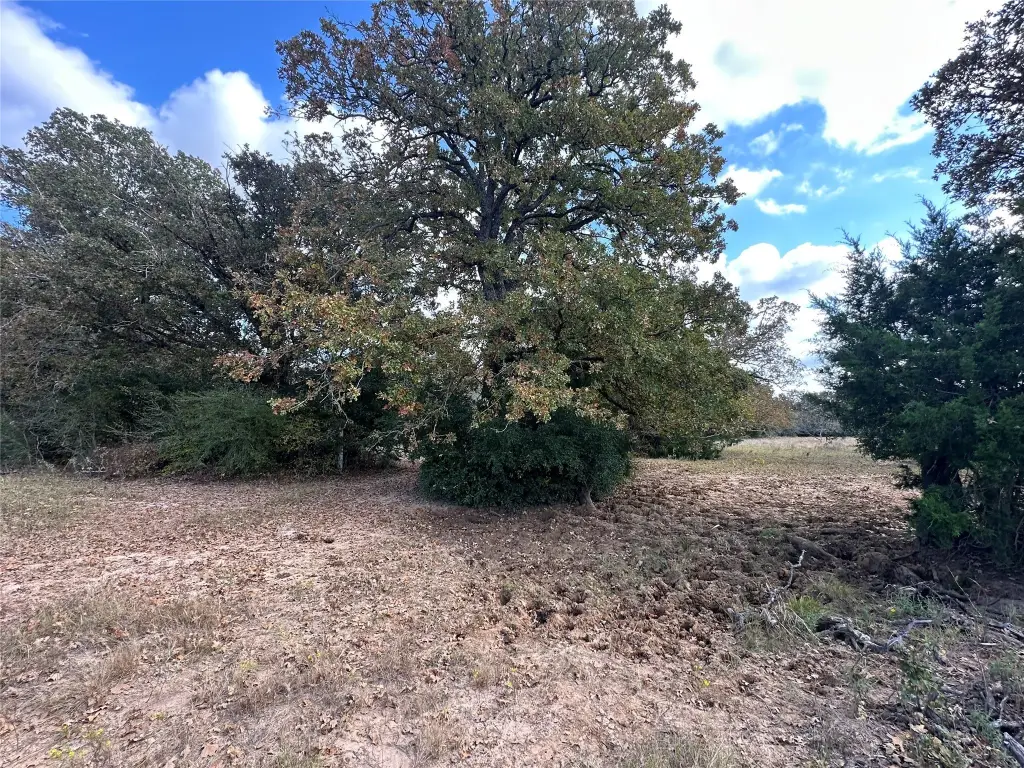 Picture 17