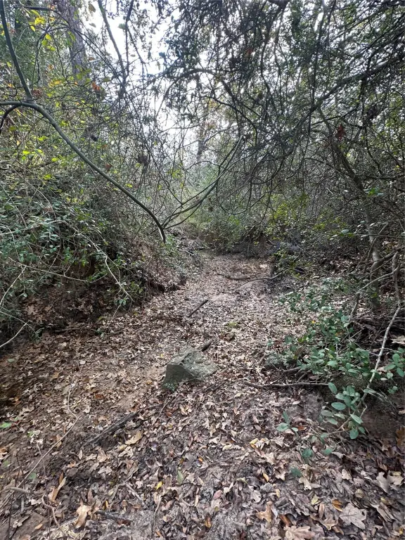 Picture 23