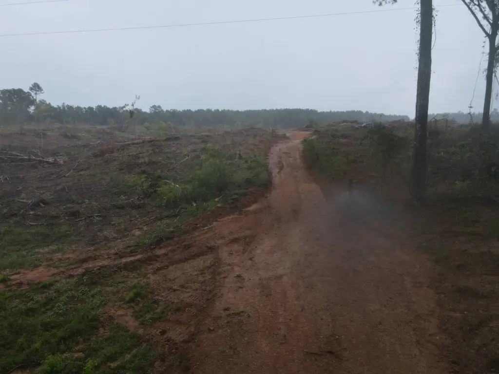 Picture 21