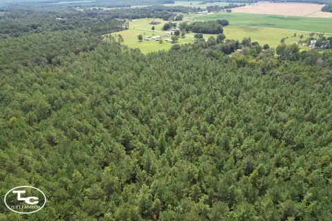 Timber and Hunting Farmland