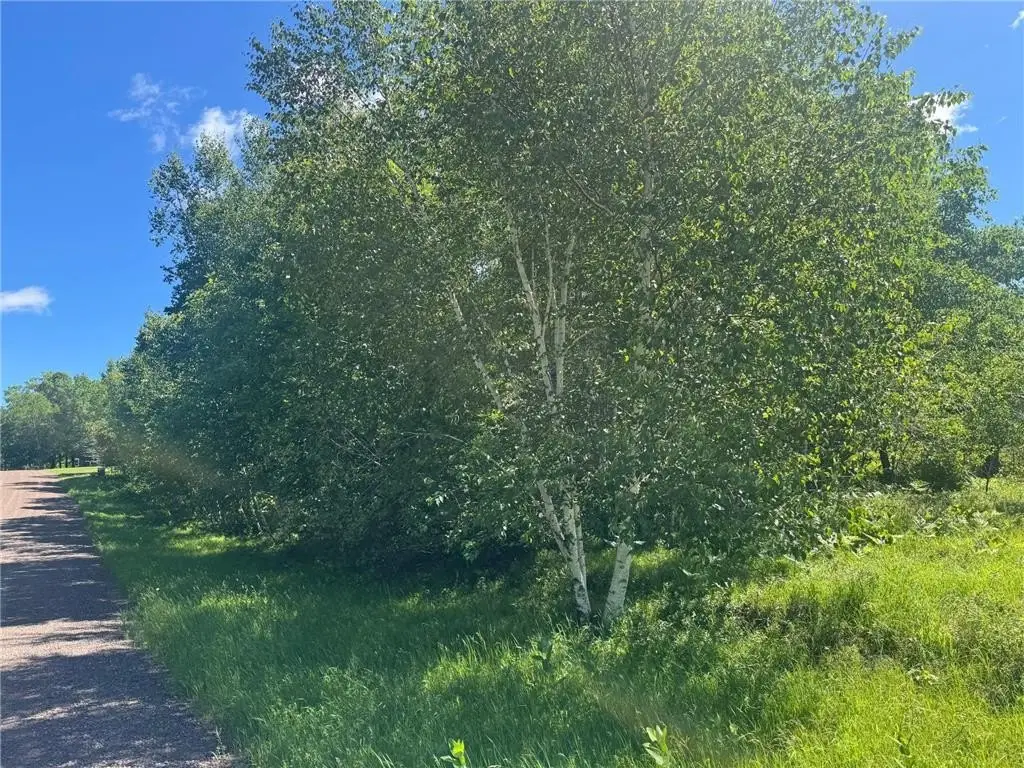 Picture 26