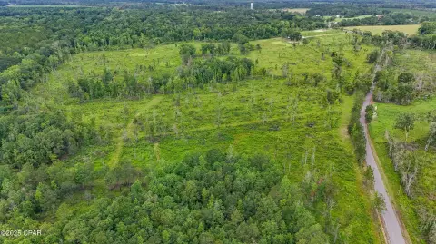 13.3 Acres in Holmes County