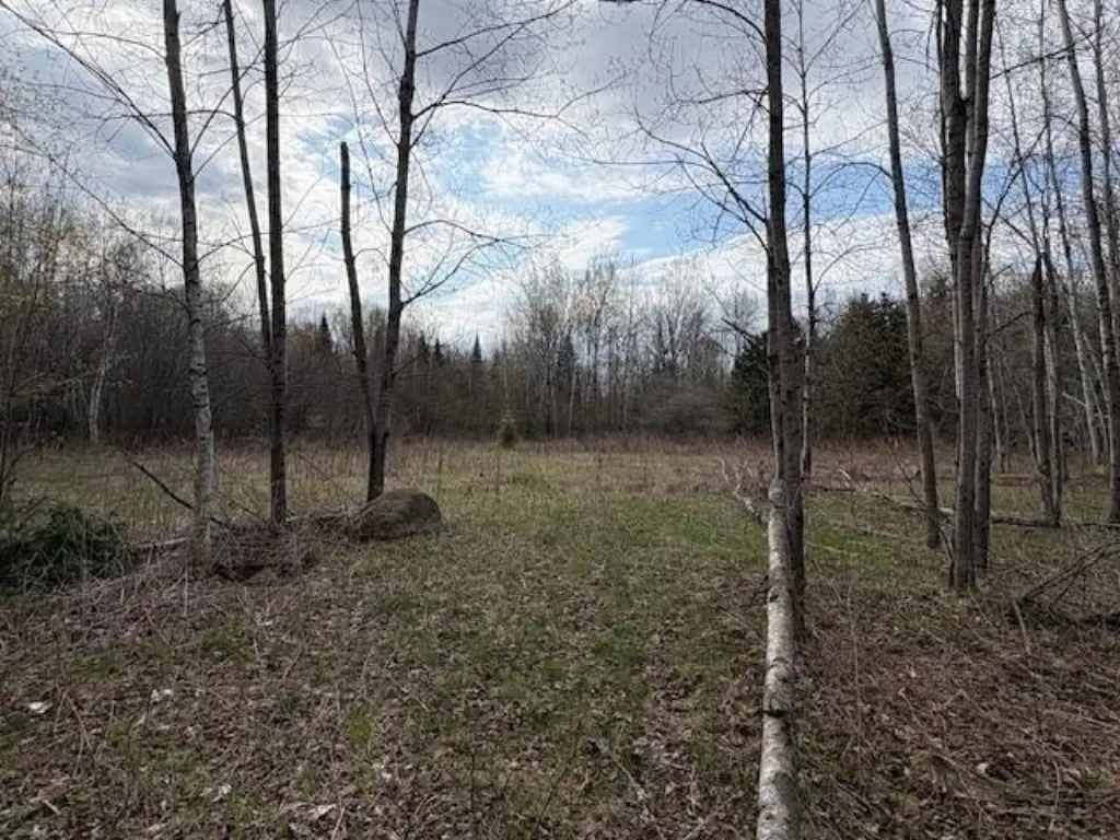 Picture 7