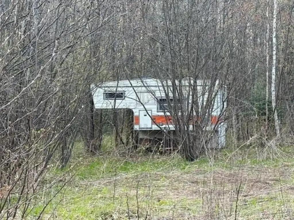 Picture 4