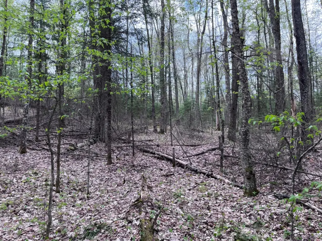 Picture 4