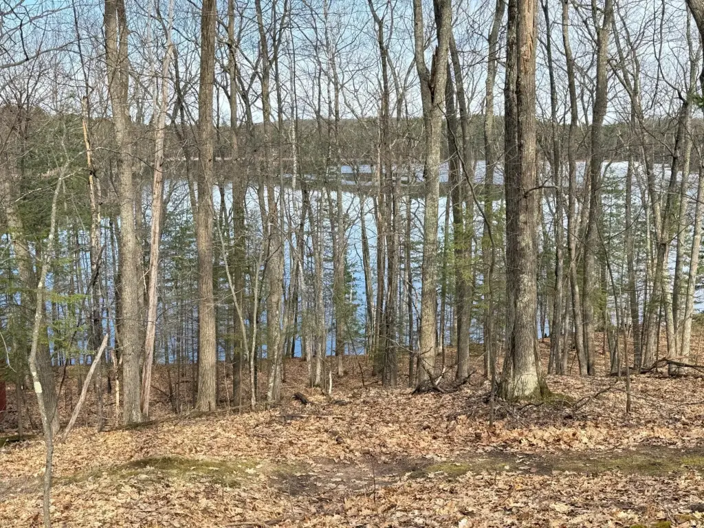 Picture 13