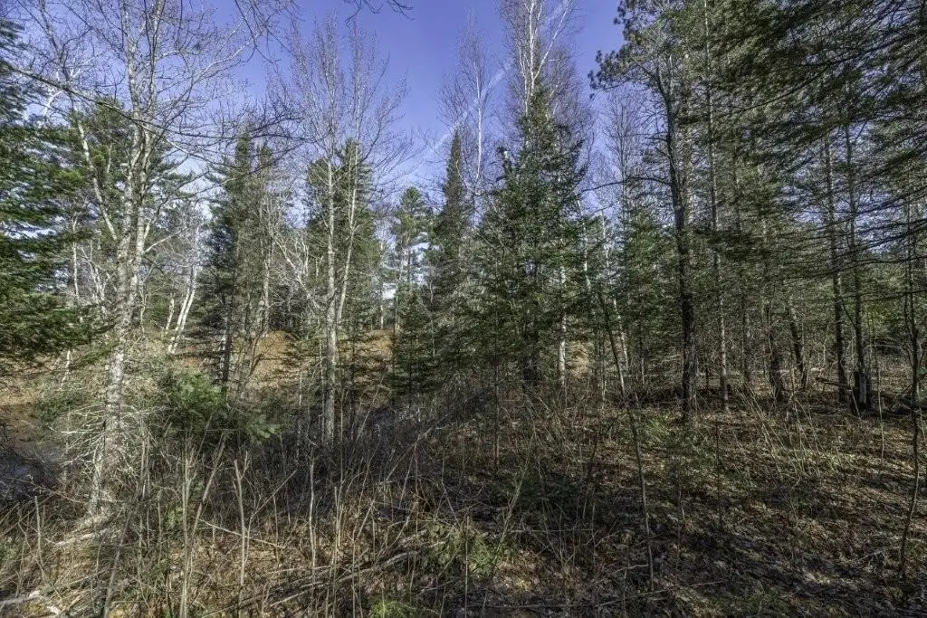 Picture 8