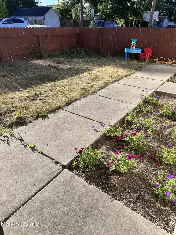 Picture 5