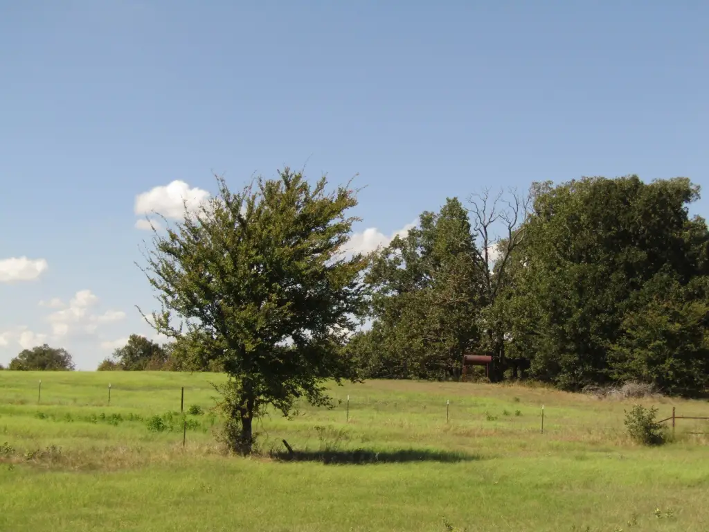Picture 7