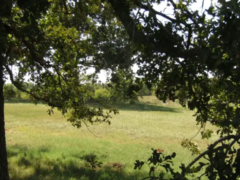 Vacant Land in Choctaw County
