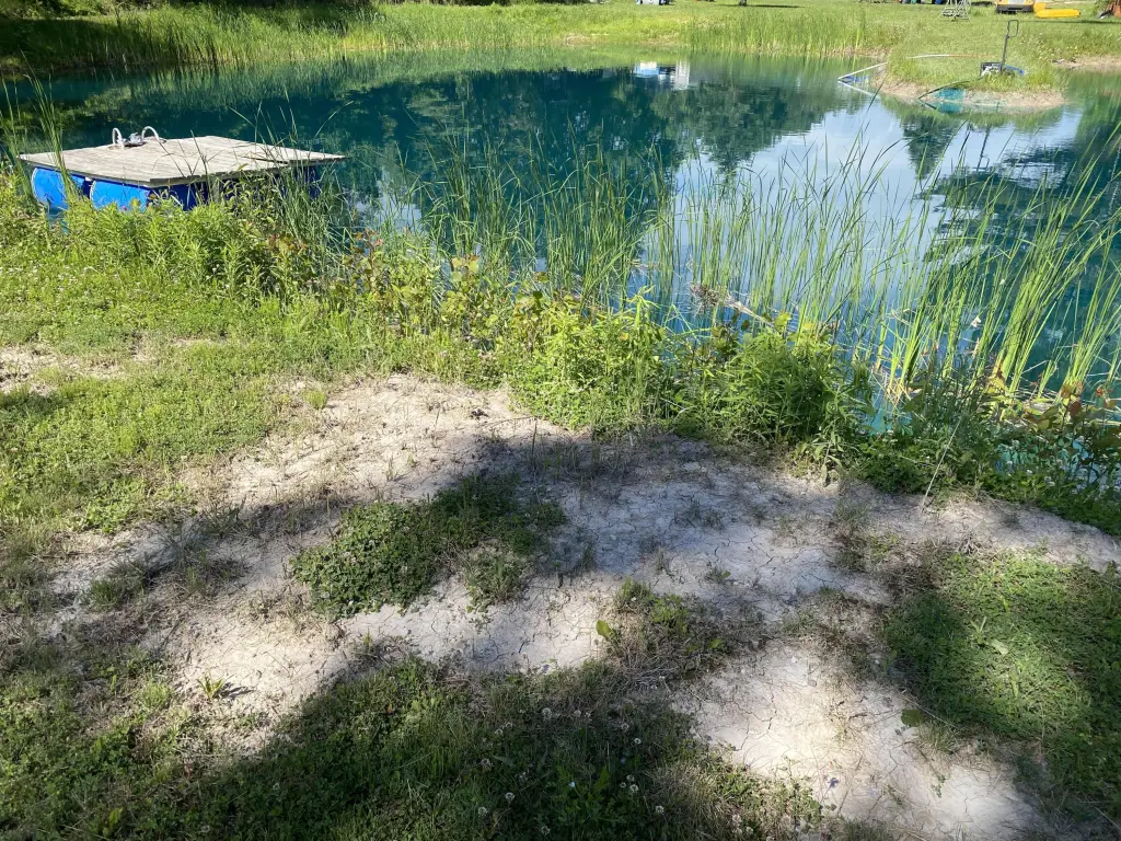 Picture 15