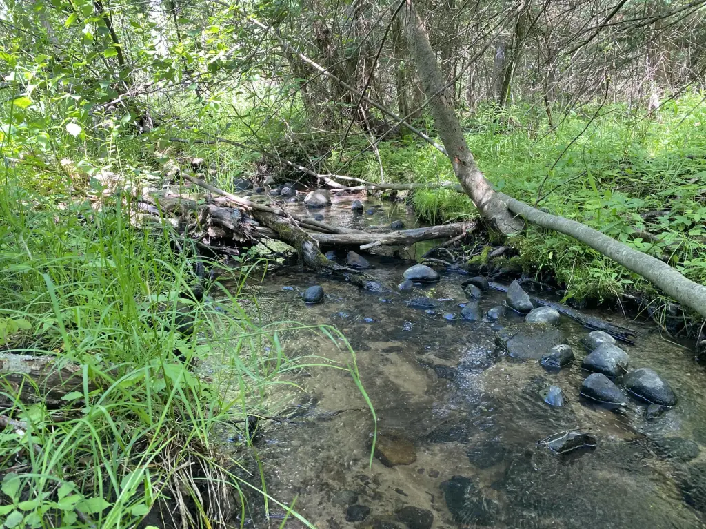 Picture 3