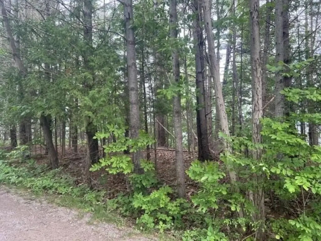 Picture 3