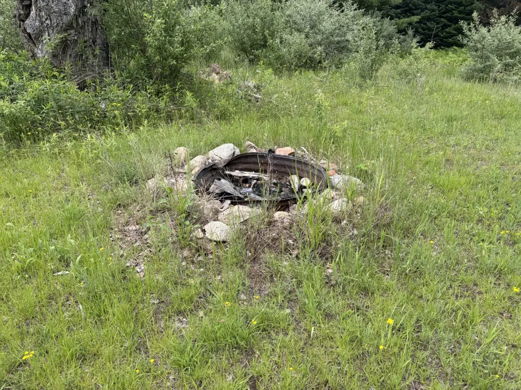 Picture 6