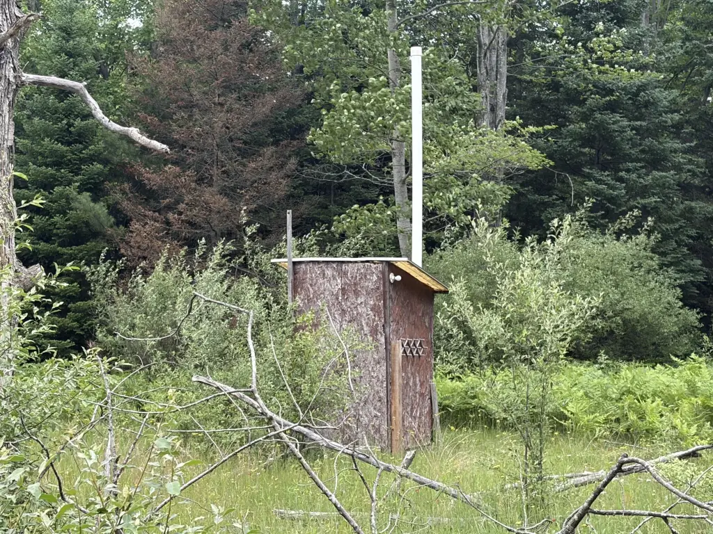 Picture 11