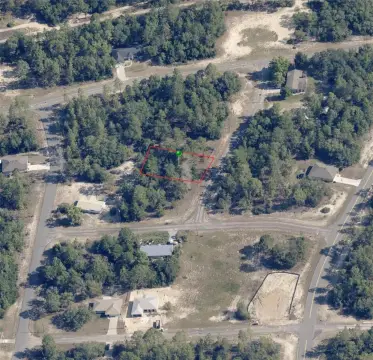 Citrus Springs Wooded Lot